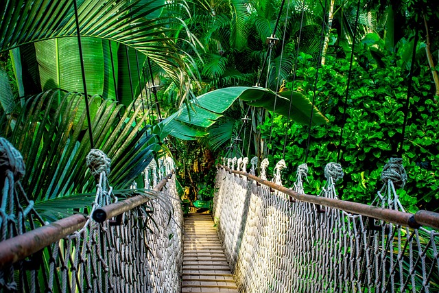 Amazon Rainforest Villas for Nature Trips