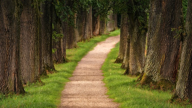 Argentina Homestays Near Hiking Trails