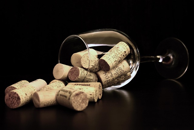 Argentina Hotels Near Vineyards and Wineries