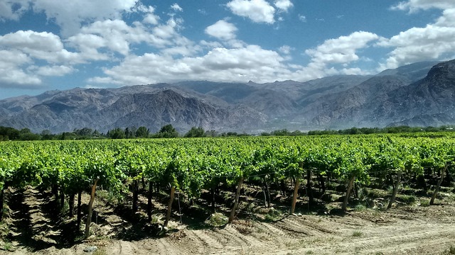 Argentina Wine Villas for Vineyard Stays