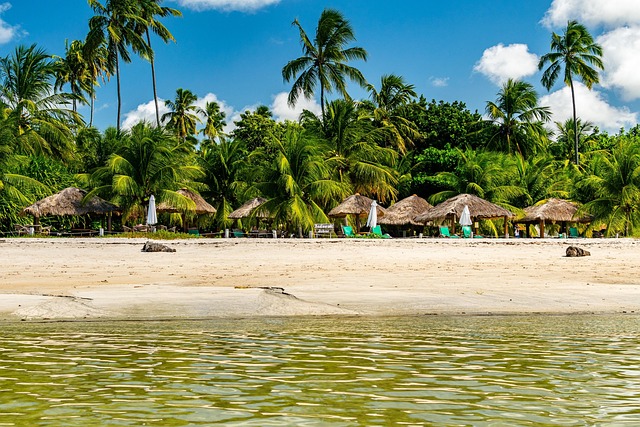 Best Resorts in Brazil for Travelers