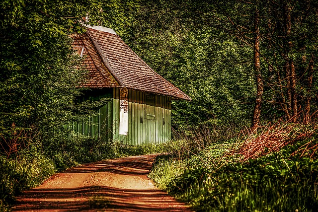 Forest Lodges in America for Quiet Retreats