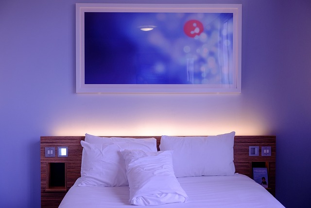 Luxury Hotels in America for Comfortable Stays