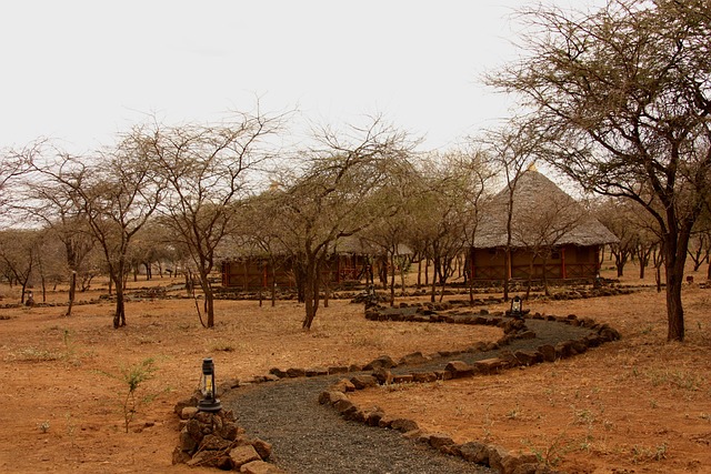 Pantanal Safari Lodges for Wildlife Trips