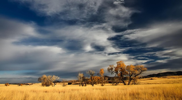 Patagonia Homestays Near Scenic Nature