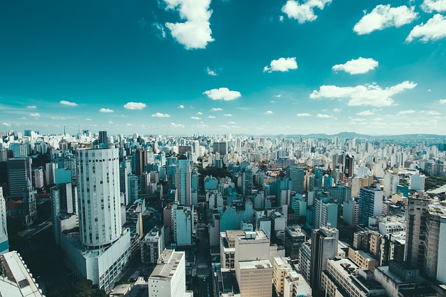 São Paulo Homestays for City Travelers