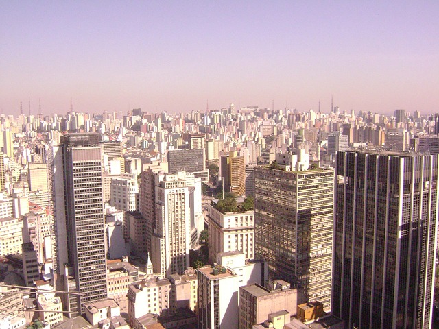 São Paulo Hotels for Business Travelers