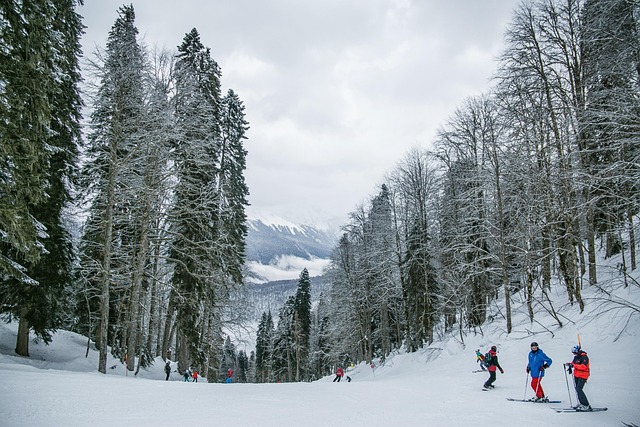 Whistler Ski Resorts for Winter Holidays